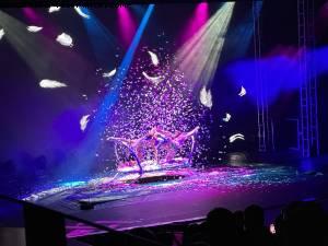 AirOtic - Atlantis Prima Caribbean Cruise - Norvegian Prima