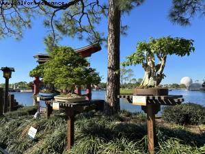 Festival des fleurs et des jardins - Epcot - Walt Disney World