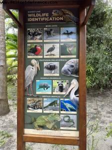 Harvest Caye, Belize - Norwegian Pearl - Croisière RSVP