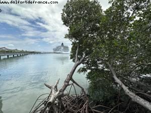 Harvest Caye, Belize - Norwegian Pearl - Croisière RSVP