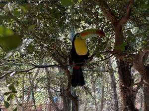 Carthagène des Indes, Colombie - Norwegian Pearl - Croisière RSVP