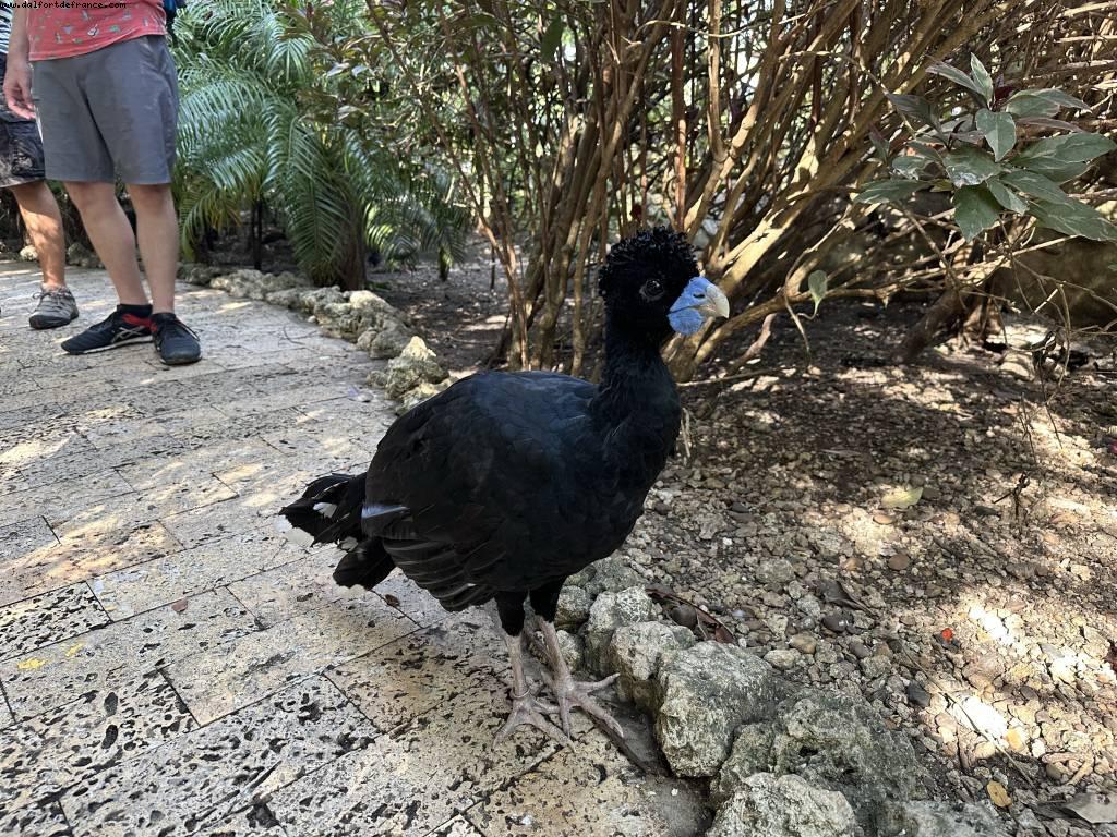 Carthagène des Indes, Colombie - Norwegian Pearl - Croisière RSVP