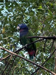 Carthagène des Indes, Colombie - Norwegian Pearl - Croisière RSVP