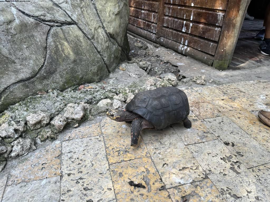 Carthagène des Indes, Colombie - Norwegian Pearl - Croisière RSVP