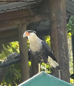 Carthagène des Indes, Colombie - Norwegian Pearl - Croisière RSVP