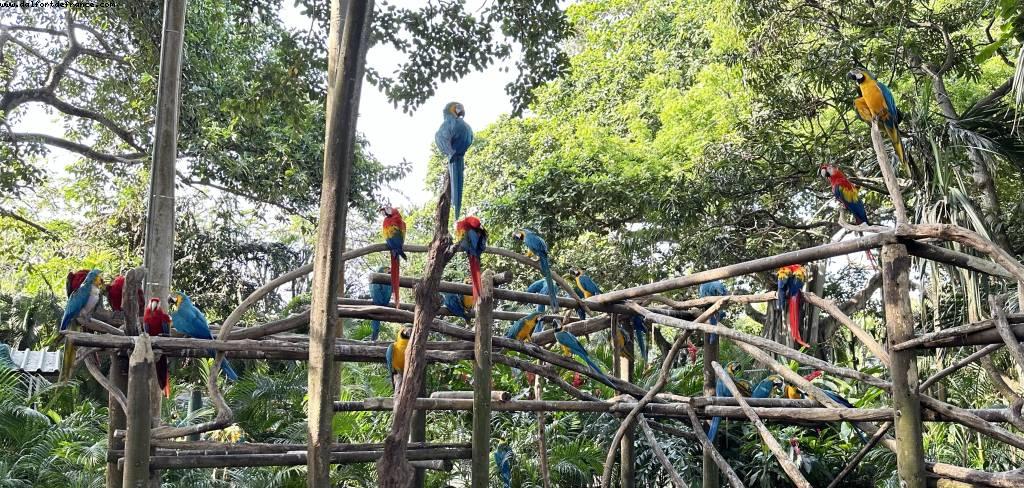 Carthagène des Indes, Colombie - Norwegian Pearl - Croisière RSVP