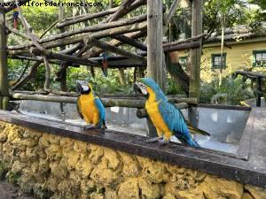 Carthagène des Indes, Colombie - Norwegian Pearl - Croisière RSVP