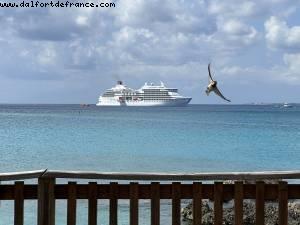 Georgetown, Grand Cayman - Norwegian Pearl - Croisière RSVP