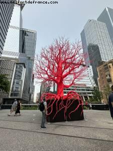 High Line - New York, New York