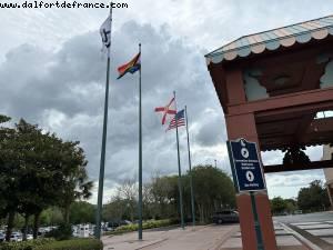 Drapeau Arc-en-ciel @ Swan and Dolphin Hôtel - Thank you! - Walt Disney World