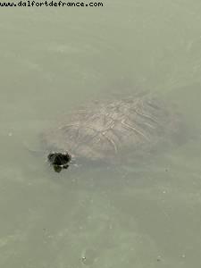 Central Park - New York, New York