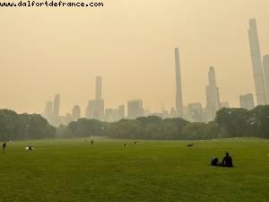 Central Park - New York, New York