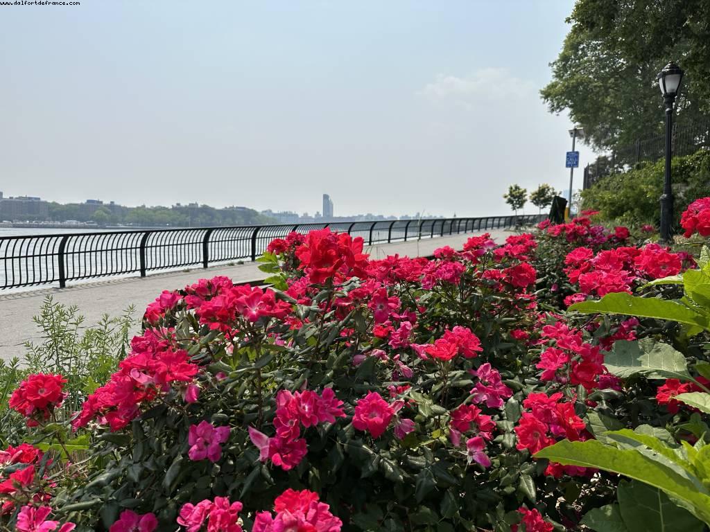 Walking along East River - New York, New York