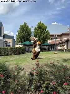 Hollywood Studios - Walt Disney World