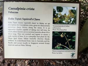 Botanical Garden - Singapour