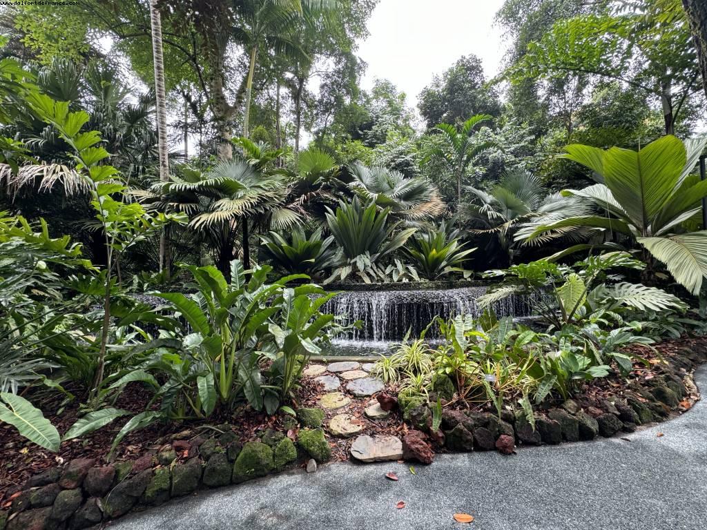 Botanical Garden - Singapour