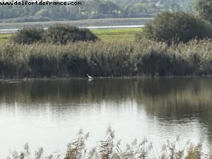 Joyeux anniversaire Laurent! - Lachaussee, France