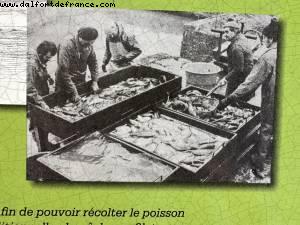 Joyeux anniversaire Laurent! - Lachaussee, France