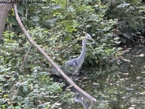 Bois de Vincennes - Paris, France
