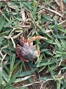 San Juan, Porto Rico- Atlantis biggest gay cruise ever - Oasis of the seas