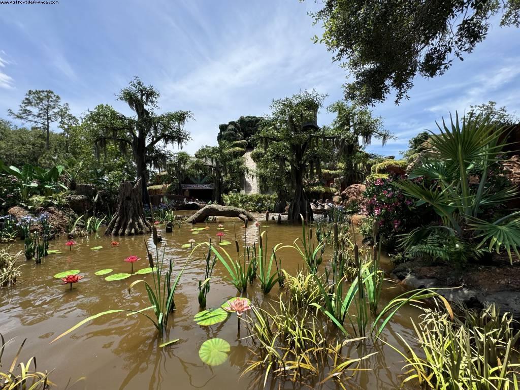Tiana’s Bayou Adventure - Magic kingdom - Gaydays - Walt Disney World