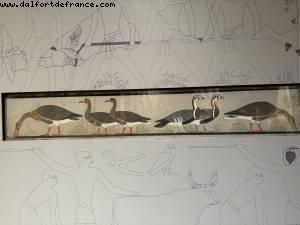 Tout seul dans le musée égyptien ! - Le Caire, Egypte - Croisière Atlantis d'Istanbul à Athènes - Oceania Riviera