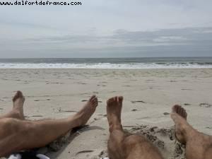 Fire Island , New York