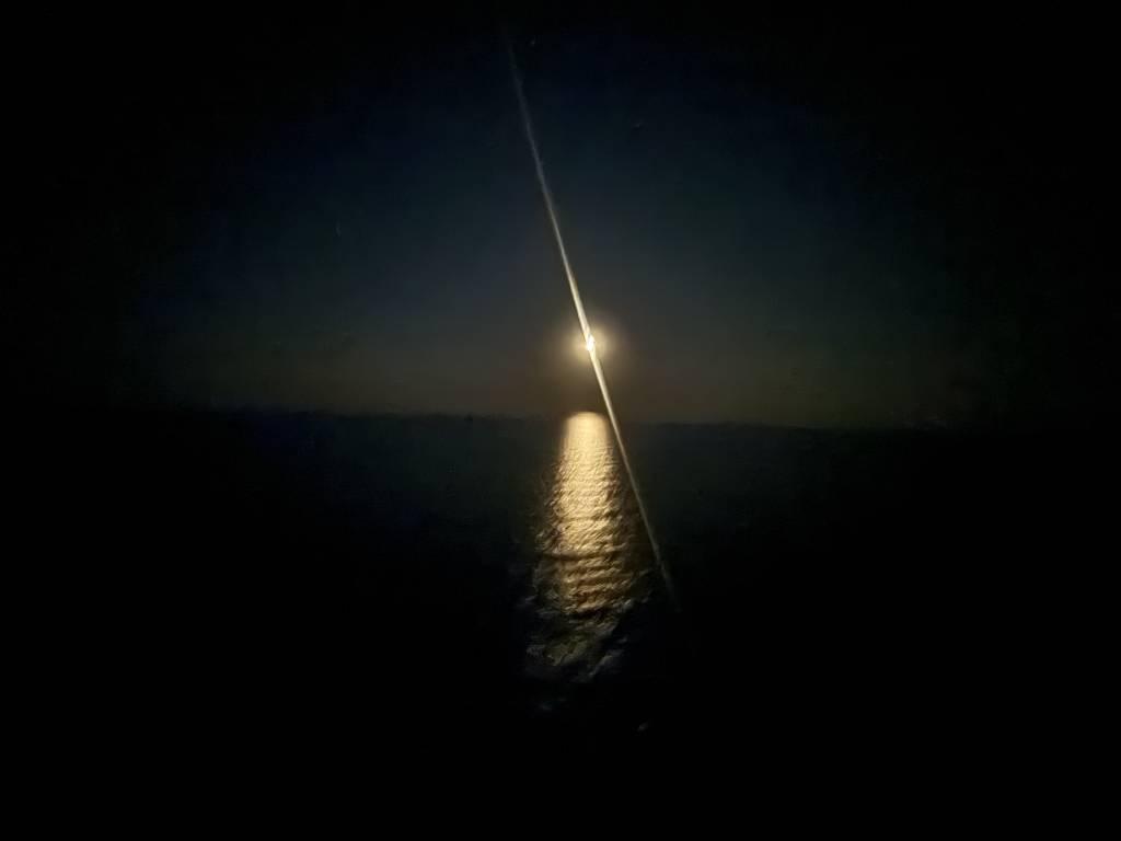 Fluo - La Demence Cruise - Celebrity Infinity