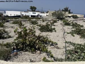 Randonnée de Oia à Fira, Santorin - Croisière Atlantis Virgin Resilient Lady