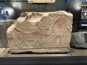 Great Egyptian Museum - Cairo, Egypt - Atlantis Virgin Resilient Lady Cruise