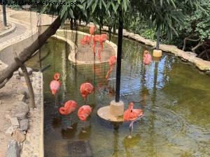 Botanical garden - Hong Kong