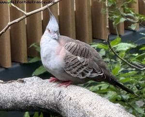 Hong Kong Park - Hong Kong