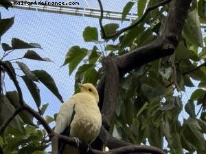 Hong Kong Park - Hong Kong
