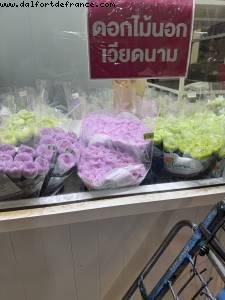 Flower market - Bangkok, Thailand - Atlantis Hong Kong to Singapore cruise