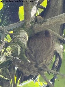 Puerto Limon, Costa Rica - Atlantis Tropical America Cruise