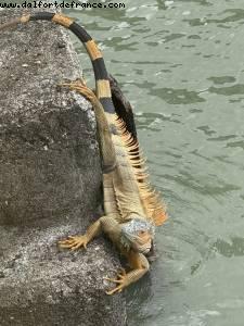 Puerto Limon, Costa Rica - Atlantis Tropical America Cruise