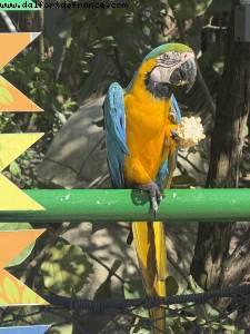 Cartagene des Indes, Colombie - Atlantis Tropical America Cruise