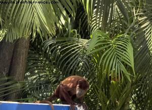 Cartagene des Indes, Colombie - Atlantis Tropical America Cruise