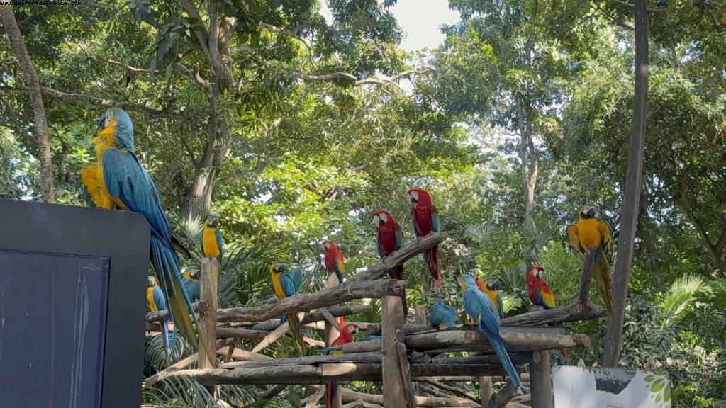 Cartagene des Indes, Colombie - Atlantis Tropical America Cruise