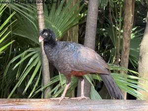 Cartagene des Indes, Colombie - Atlantis Tropical America Cruise