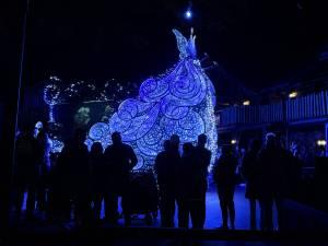 Magic kingdom - Walt Disney World