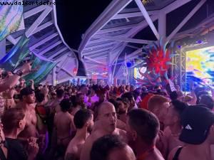 Wild - Atlantis Symphony Cruise