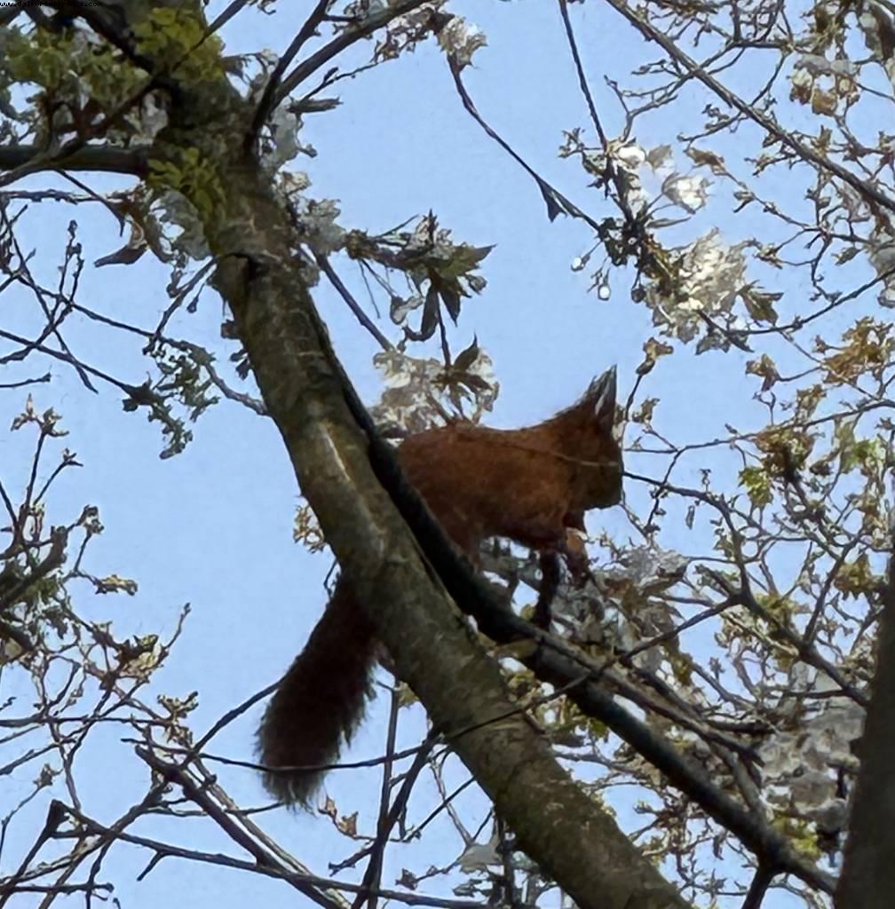 Bois de Vincennes - Paris