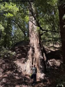 Driving from Santa Cruz to Pismo Beach, California