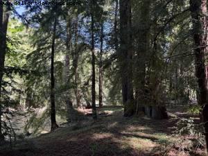 Driving from Santa Cruz to Pismo Beach, California