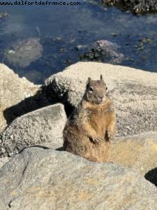 Driving from Santa Cruz to Pismo Beach, California