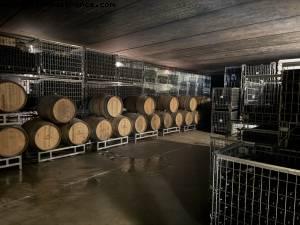 E.Pira & Figli vignoble - Barolo, Italie