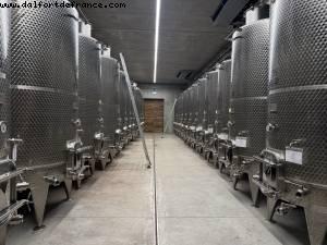 Azelia vignoble - Castiglione Falletto
