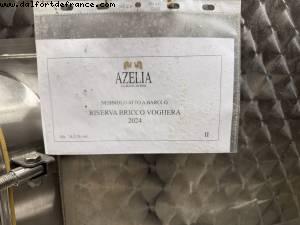 Azelia vignoble - Castiglione Falletto