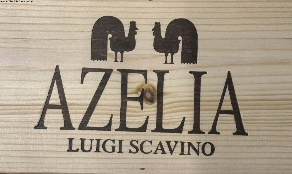 Azelia vignoble - Castiglione Falletto